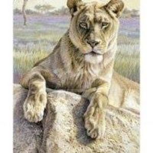 Meet your Posher, Barbara